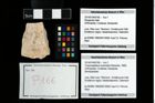 Foto (Objekt + Etikett) von Cracensigillatus acutirostris (Moericke, 1889)  (NHMW-GEO-2014-0194-0166)